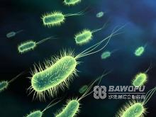 氧化性和非氧化性傻傻分不清，殺菌劑大家族的分類
